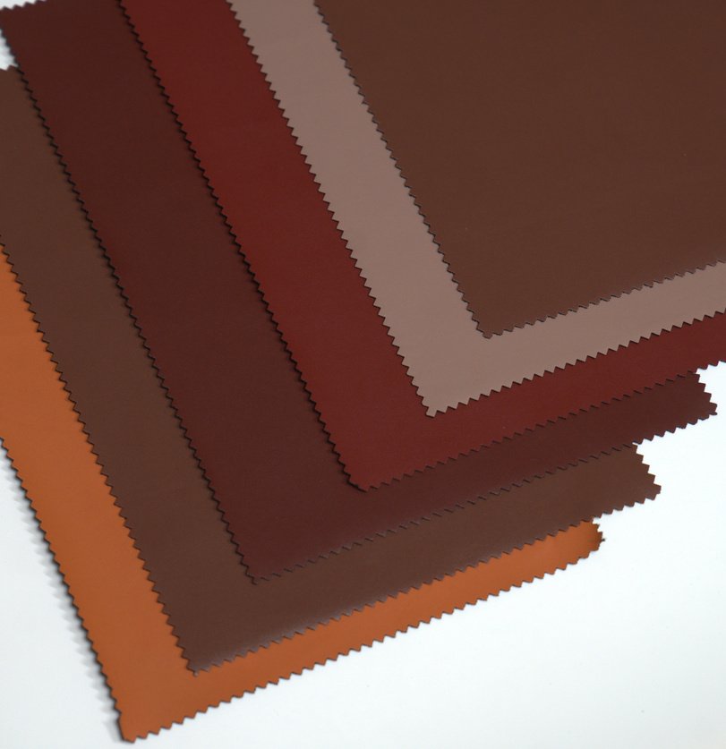 Carnatia cactus leather material surface