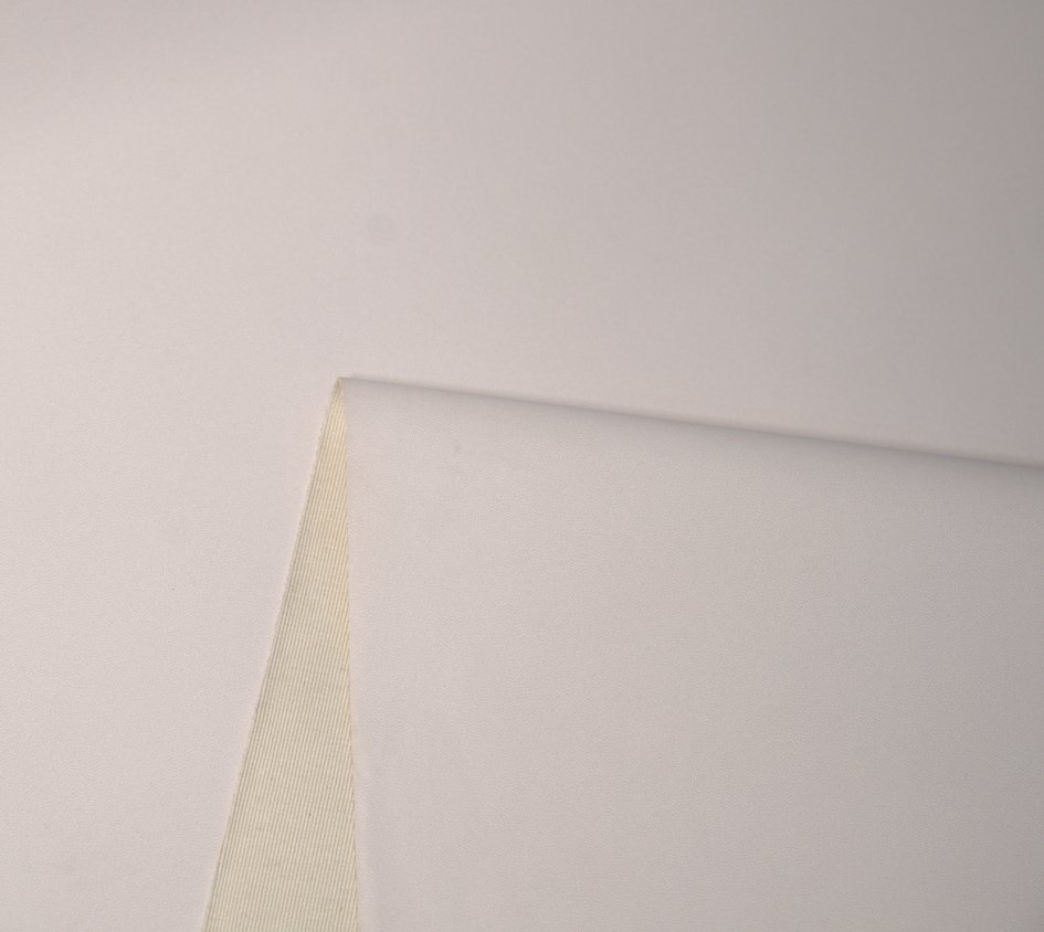 Alora cactus leather material surface