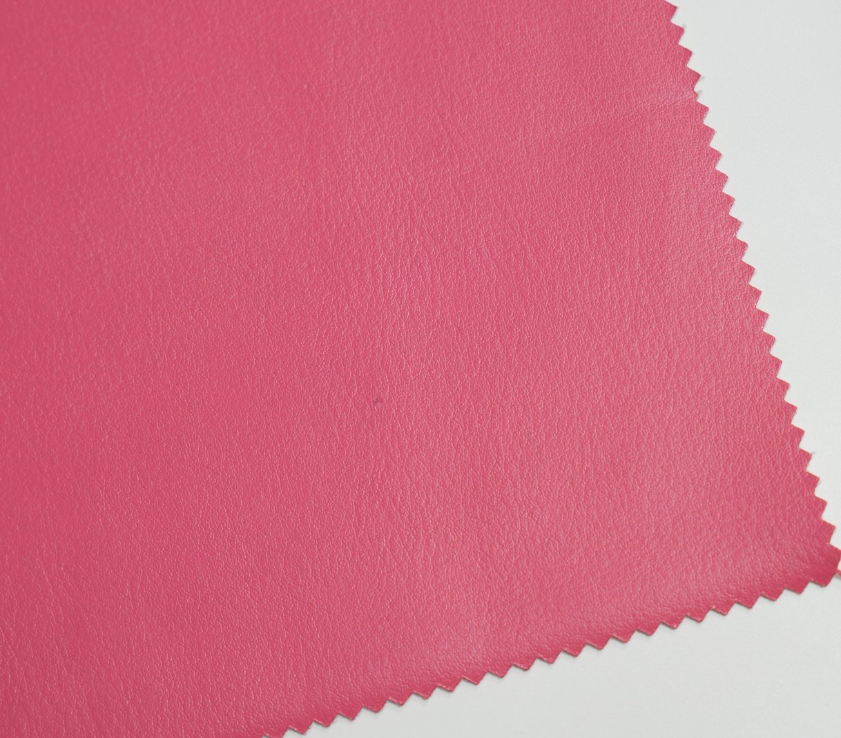 Garden cactus leather material surface